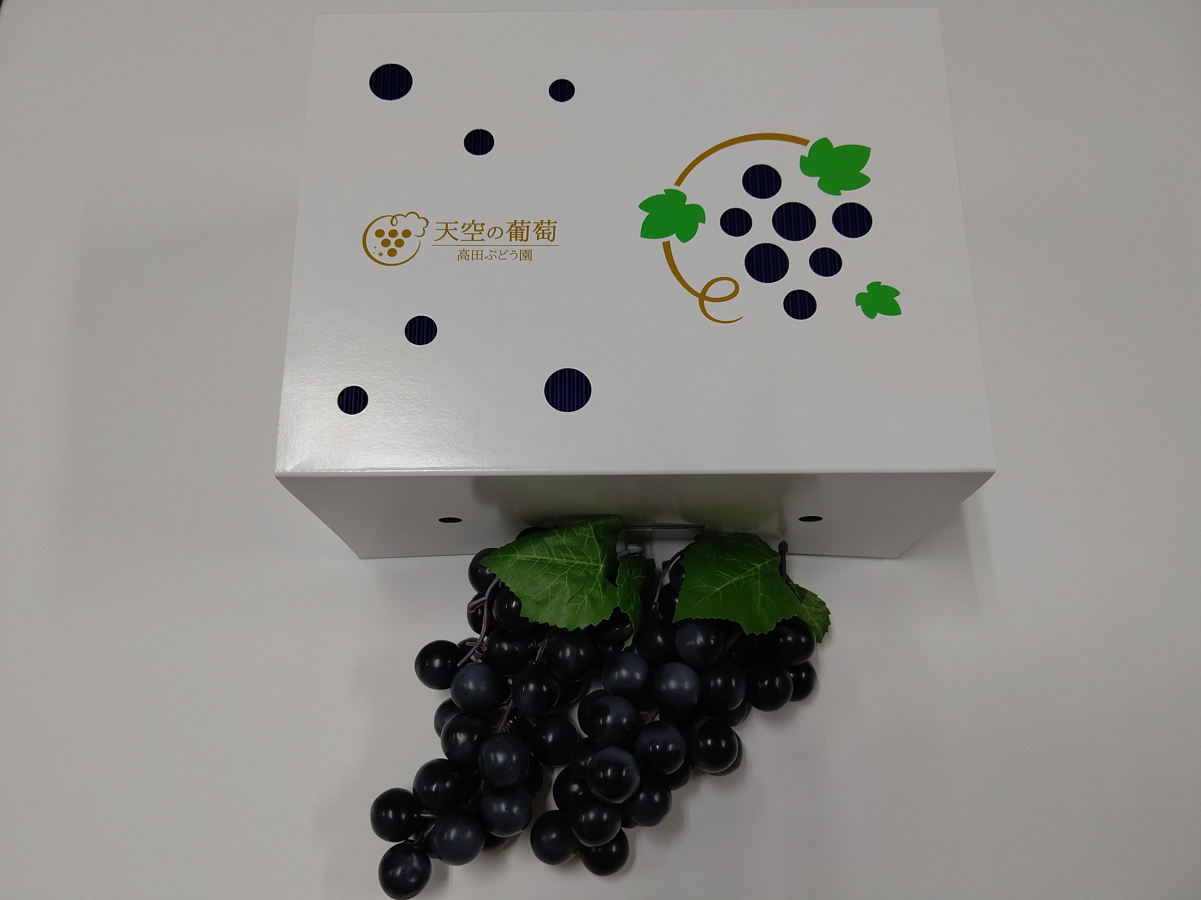 チラ段　製作事例　　岡山県　高田ぶどう園様　天空の葡萄